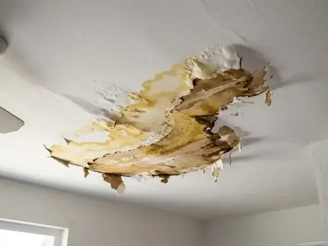 Brown water rings spreading across living room ceiling drywall below a leak