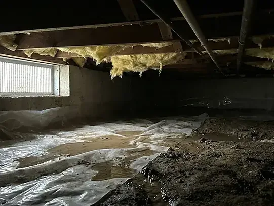 Water pooled on a ripped vapor barrier in a damp crawl space under a home