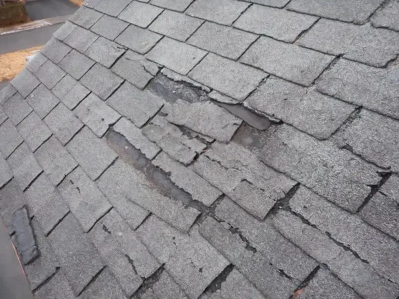 Storm-battered asphalt shingles with bruised and missing granules on a home roof