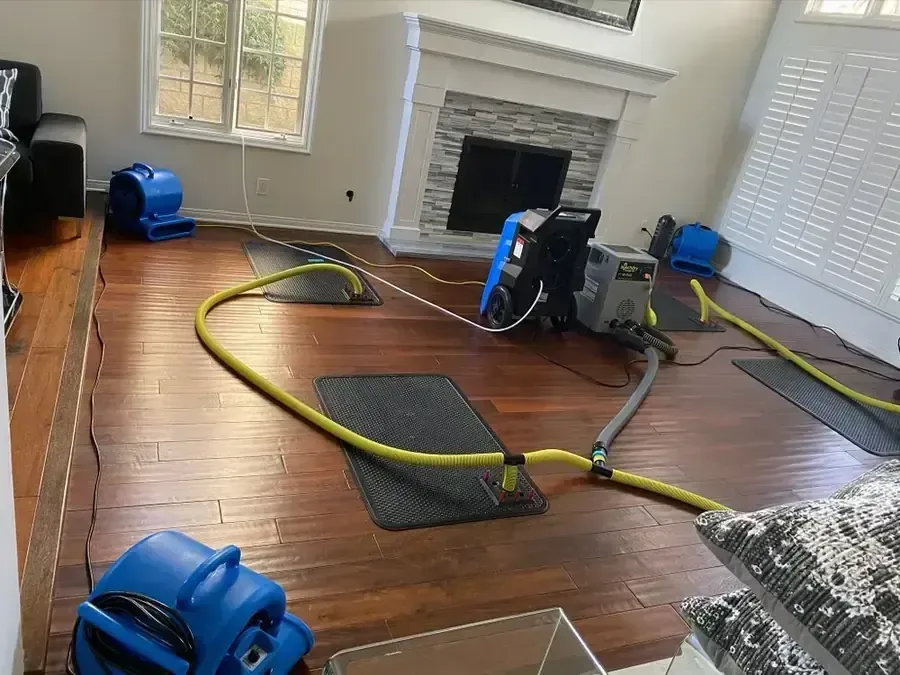 Drying mats on a hardwood floor with air movers and a dehumidifier running in a living room